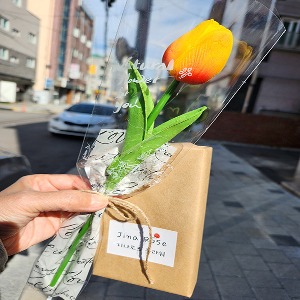 지나로즈 튤립 한송이 꽃다발 빼빼로데이 꽃 선물 포장