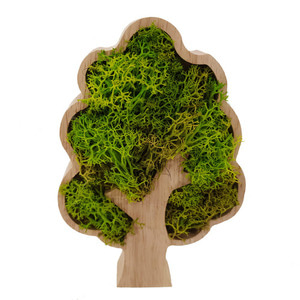 공기정화 식물 천연 이끼 스칸디아모스 나무틀